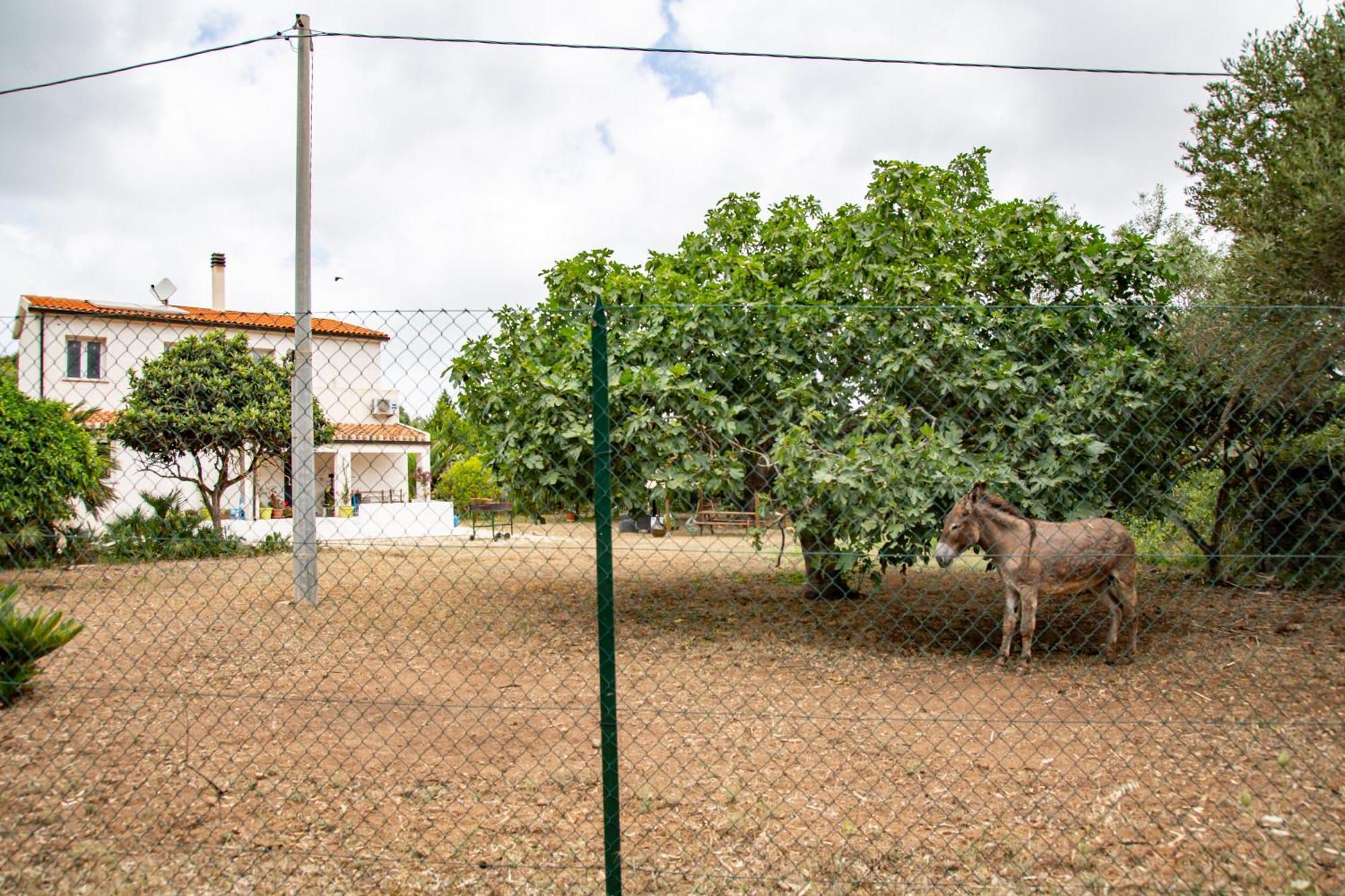Villa Del Lupo Santa Maria la Palma Extérieur photo